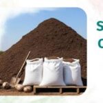 National News : नारियल के छिलके से मिट्टी तक: भारत के शहरी स्थानीय निकाय नारियल के कचरे को पुनर्चक्रित करके आर्थिक और पर्यावरणीय लाभ प्राप्त कर रहे हैं